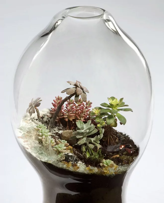 Giant-and-Living-Terrariums-by-Paula-Hayes-1