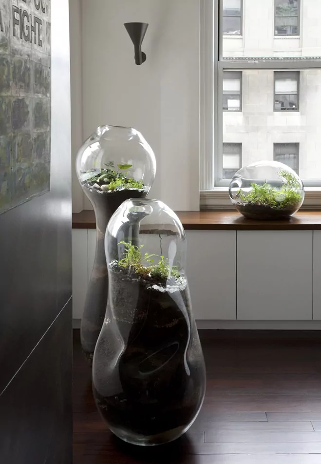 Giant-and-Living-Terrariums-by-Paula-Hayes-11