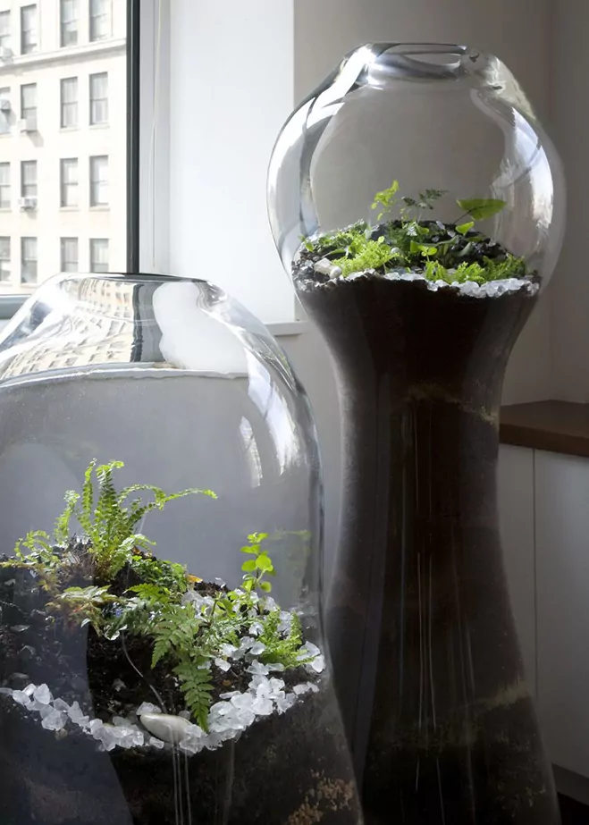 Giant-and-Living-Terrariums-by-Paula-Hayes-2