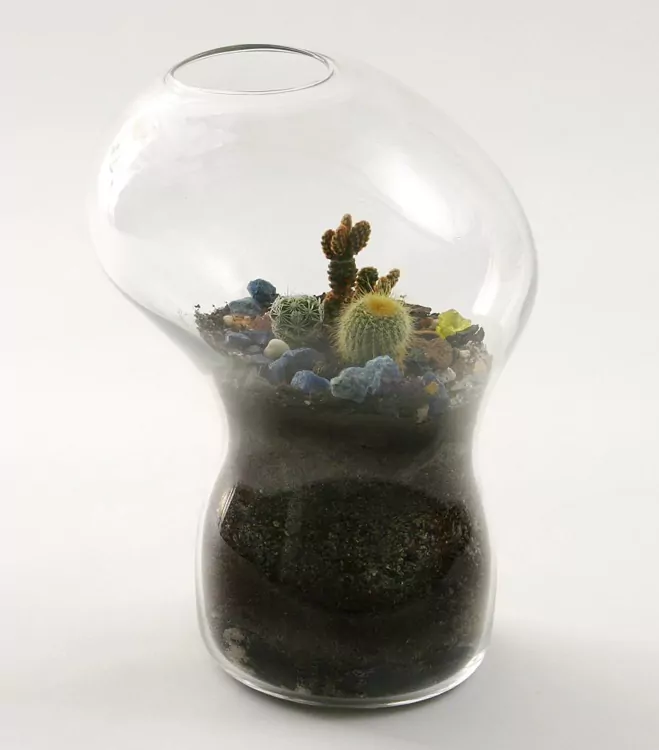 Giant-and-Living-Terrariums-by-Paula-Hayes-9