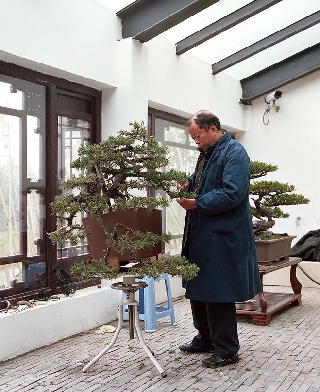 The-Bonsai-Project-by-KnibbelerWetzer-1