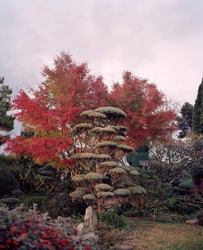 Zen-Gardens-&-Outdoor-Spaces-by-Photographer-Bruno-Suet-9