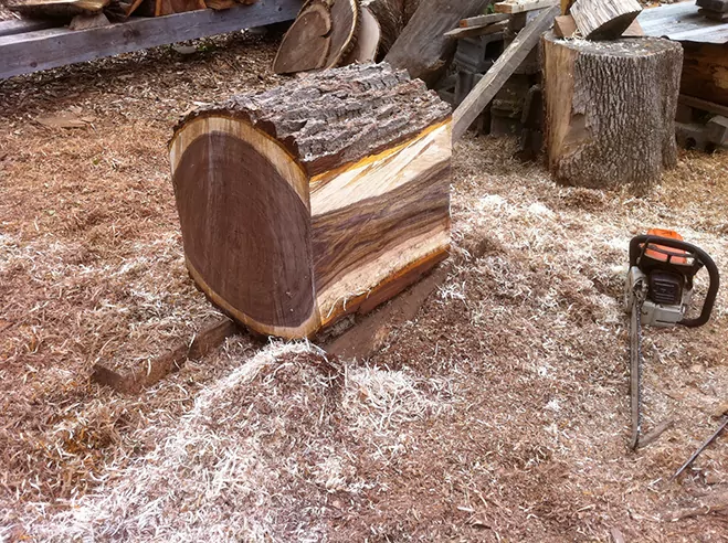 Locally-Sourced-and-Salvaged---Stump-Stools-and-Tables-by-Kieran-Kinsella-1
