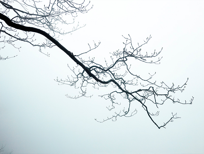 Articulating-the-Unseen-World---Nature-by-South-Korean-Photographer-Boomoon-12