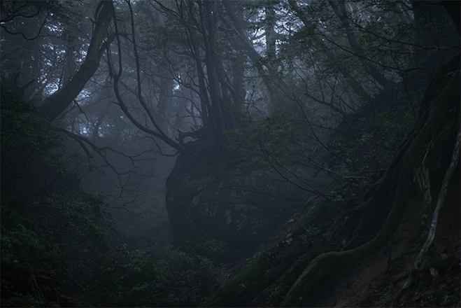 Depicting-Natural-Scenery---Photography-by-Yosuke-Kashiwakura-6