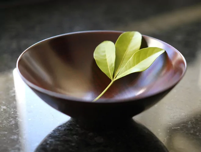 Natural Textures & Colours Lacquerware by Fujii Works at OEN Shop 1