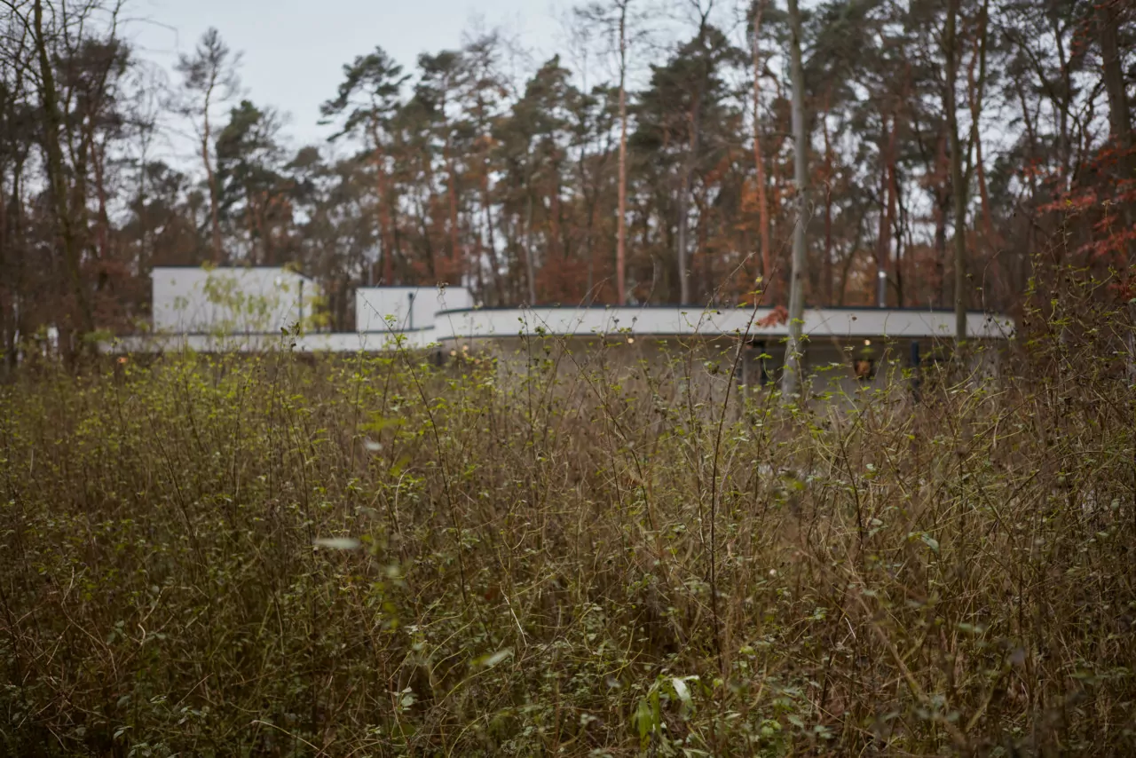 The Forest Villa by Mjölk Architects 2