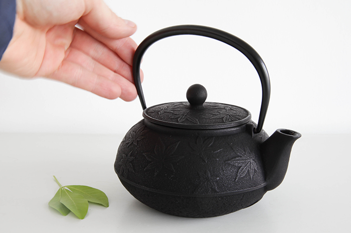 Teapots by Iwachu 4