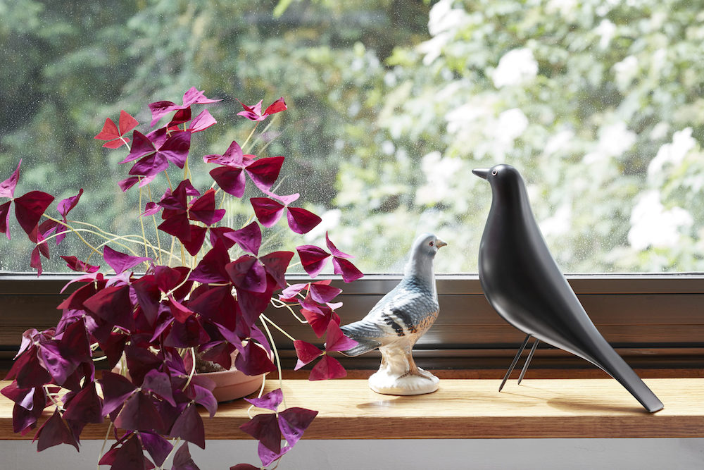 The Eames House Bird 9